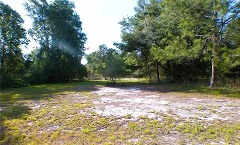 Sequoia Drive Trace Ocklawaha FL 32179
