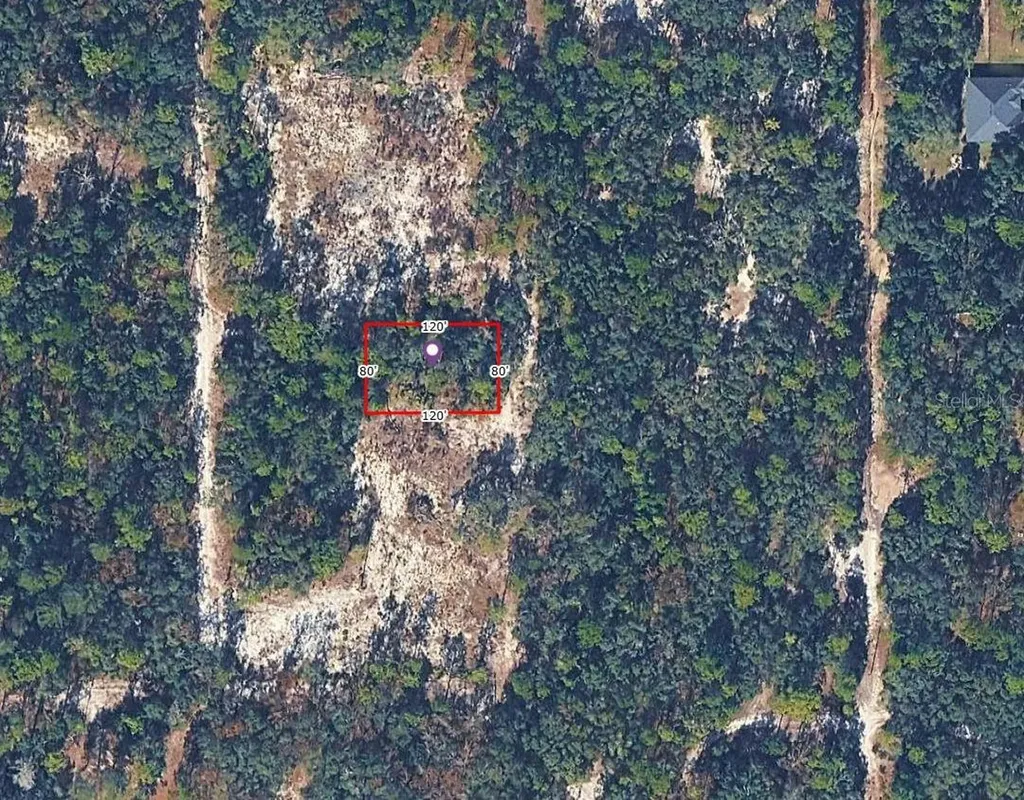 3720 S Heron Point Inverness FL 34450