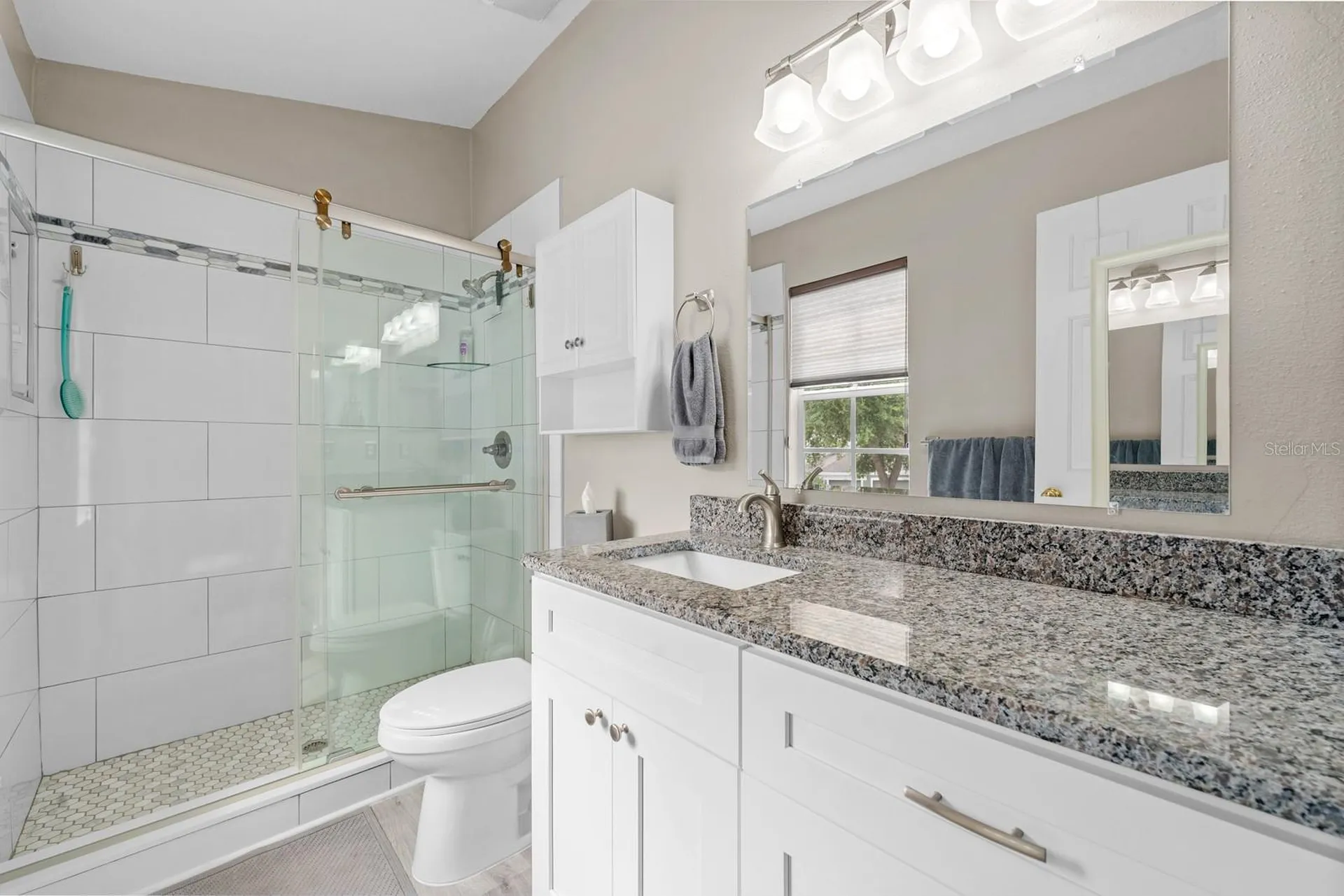 2423 Earlswood Court Brandon FL 33510