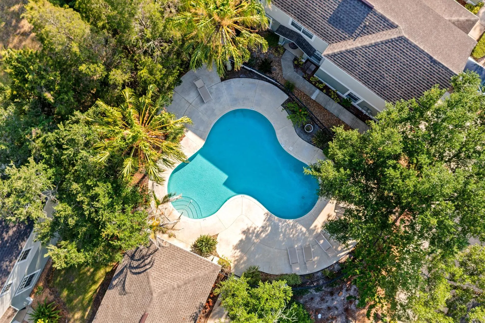 2423 Earlswood Court Brandon FL 33510