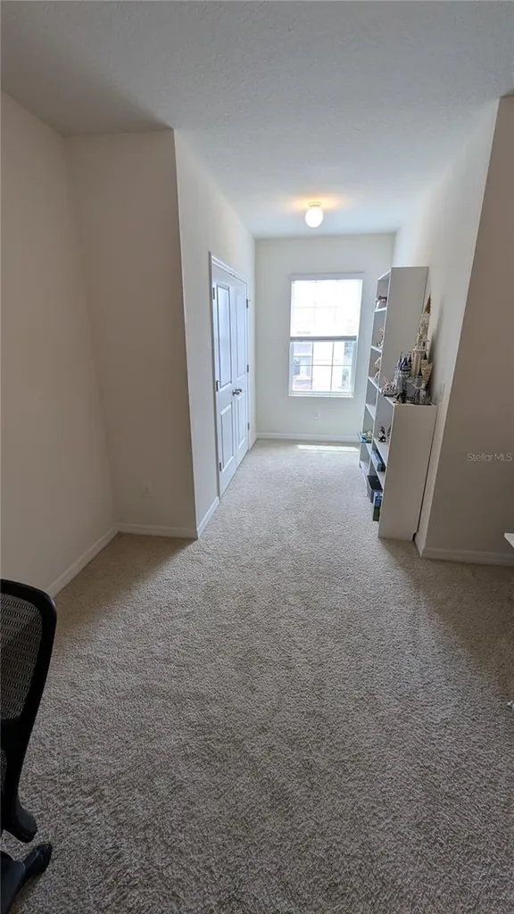 6934 Breezy Palm Drive Riverview FL 33578