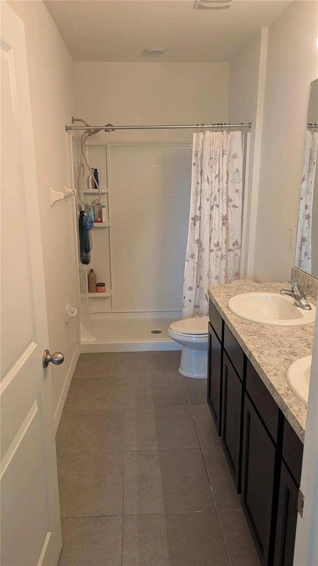 6934 Breezy Palm Drive Riverview FL 33578
