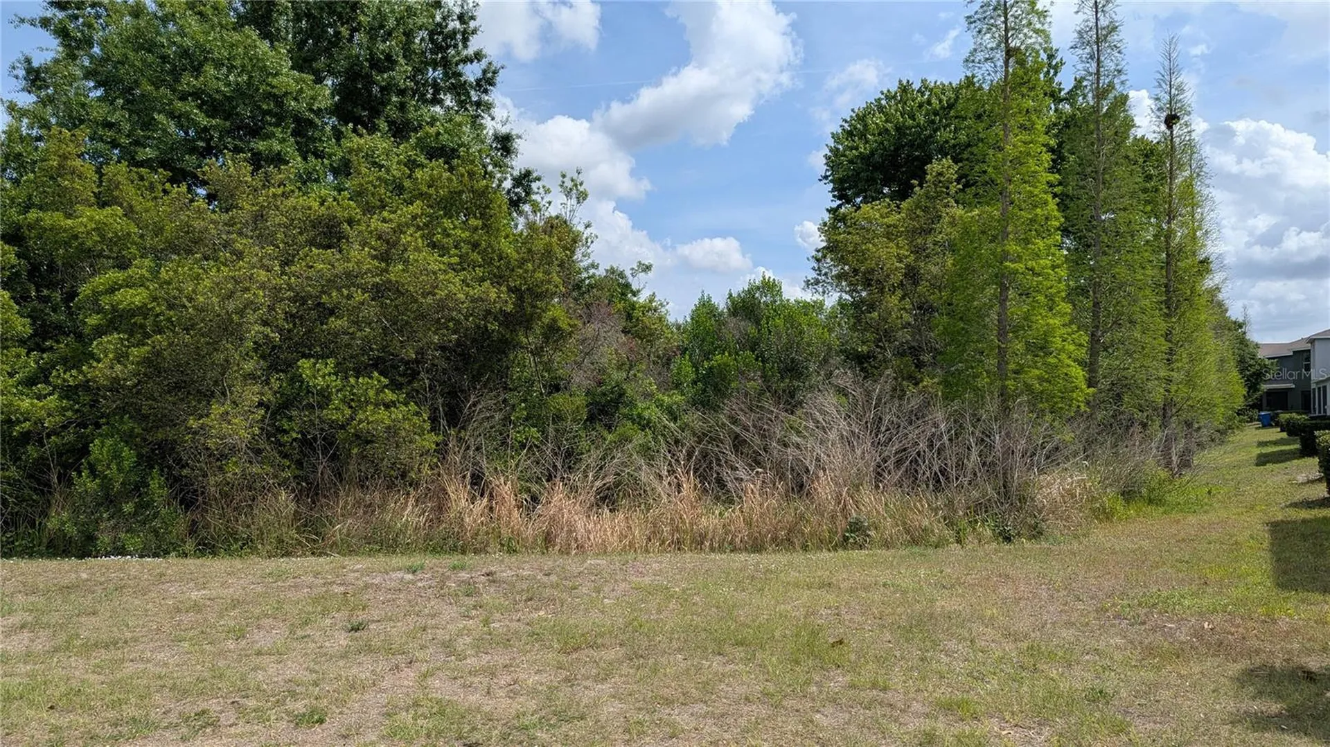 6934 Breezy Palm Drive Riverview FL 33578