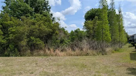 6934 Breezy Palm Drive Riverview FL 33578
