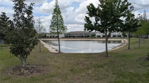 6934 Breezy Palm Drive Riverview FL 33578