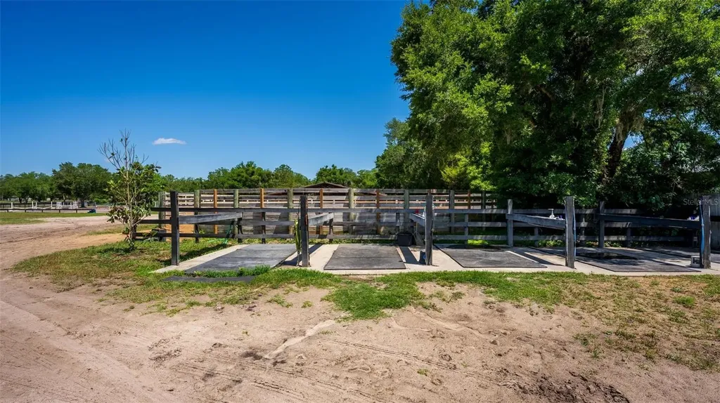 18350 SE 42nd Place Morriston FL 32668