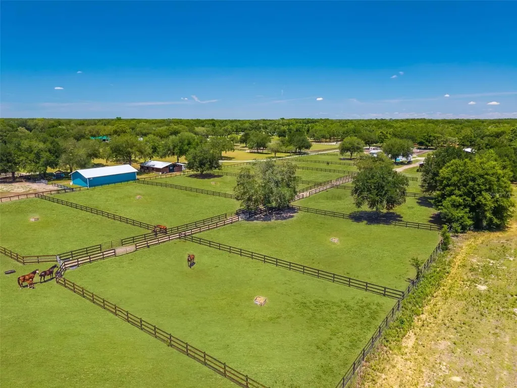 18350 SE 42nd Place Morriston FL 32668