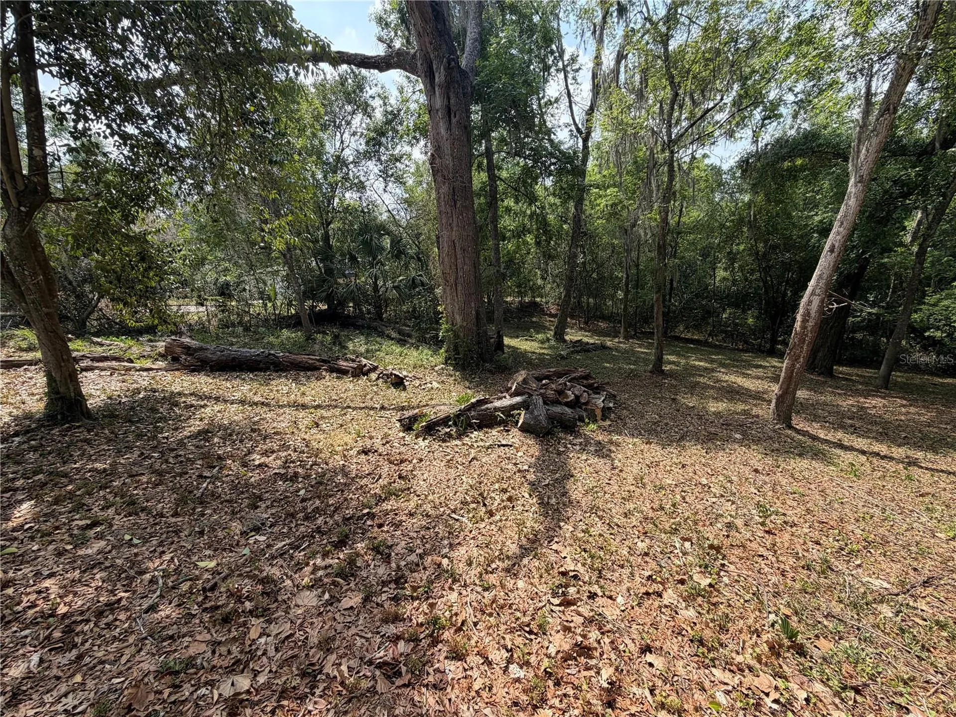 1723 NW 14th Avenue Gainesville FL 32605