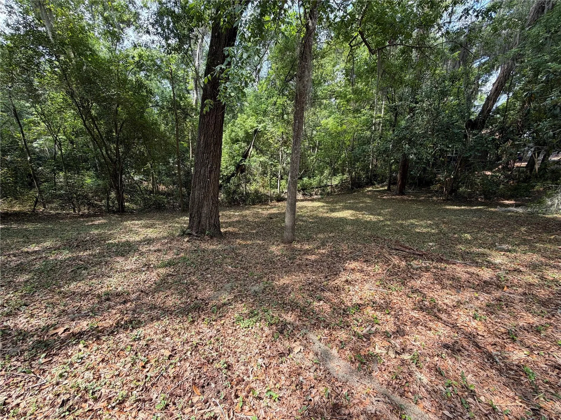 1723 NW 14th Avenue Gainesville FL 32605