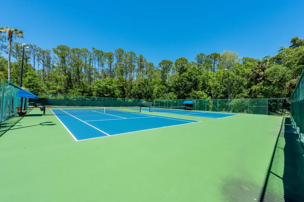 2317 Buckingham Run Court Orlando FL 32828