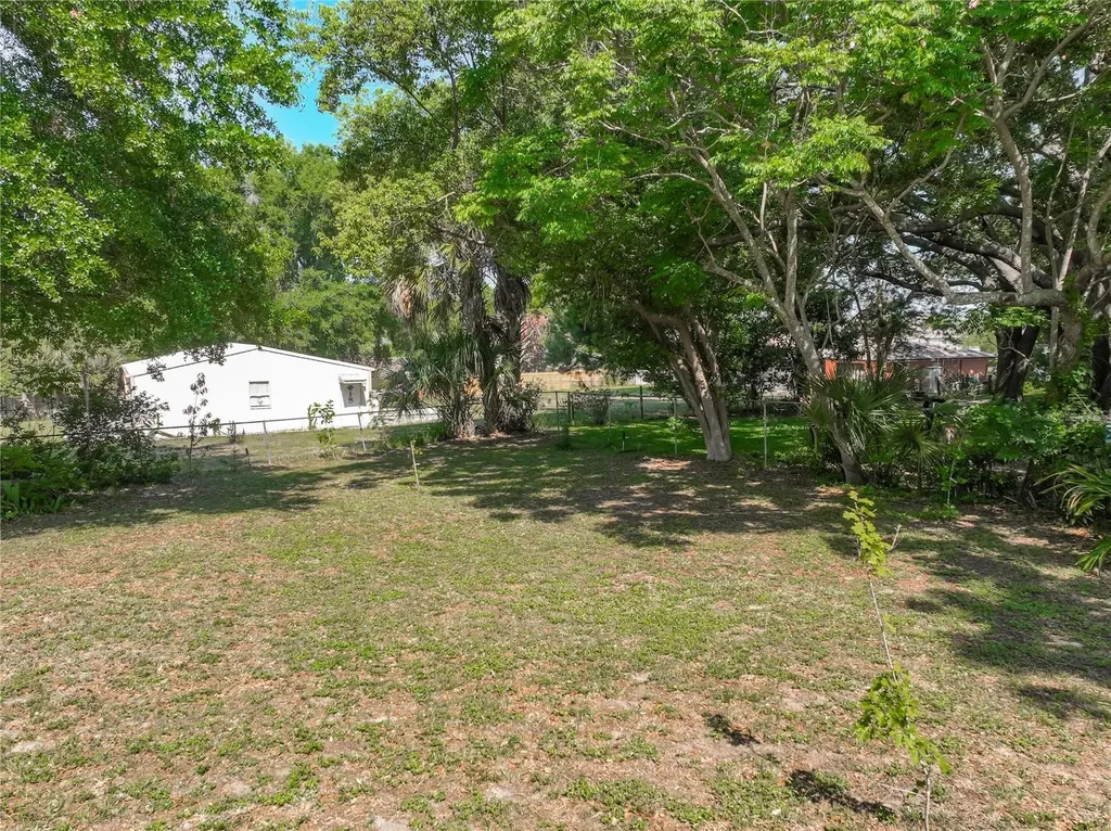 1550 Coluso Drive Winter Garden FL 34787
