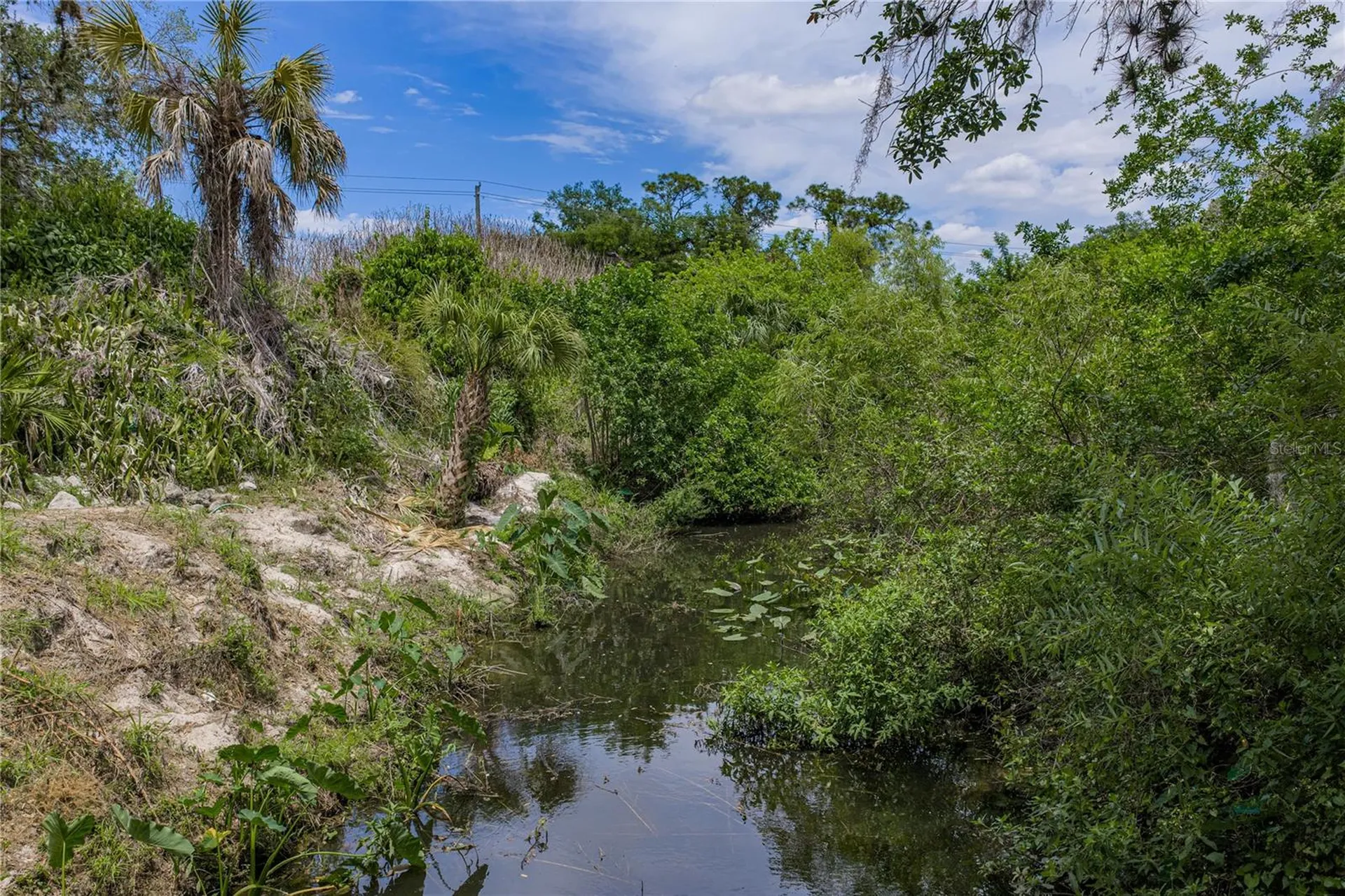 975 Caloosa Estates Drive Labelle FL 33935