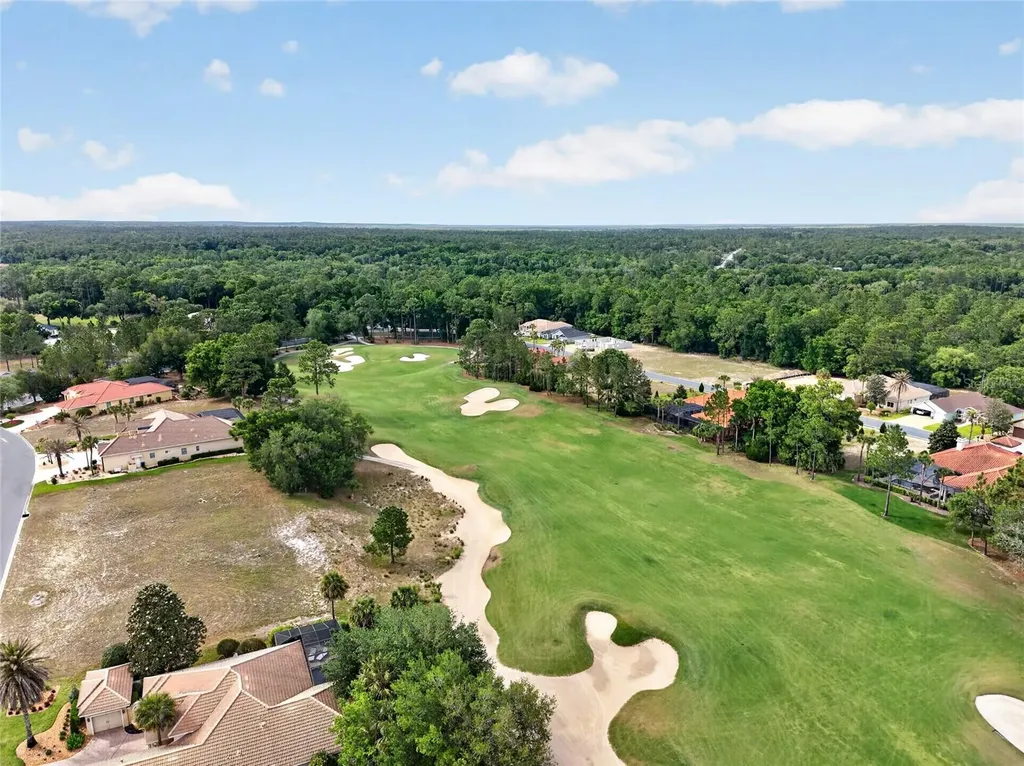 6662 SW 179th Avenue Road Dunnellon FL 34432