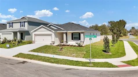 1005 Mountain Flower Lane Davenport FL 33837
