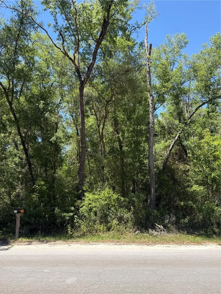 00 NE 7th Place Williston FL 32696
