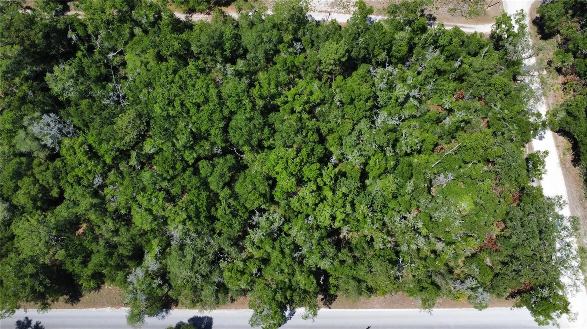 00 NE 7th Place Williston FL 32696