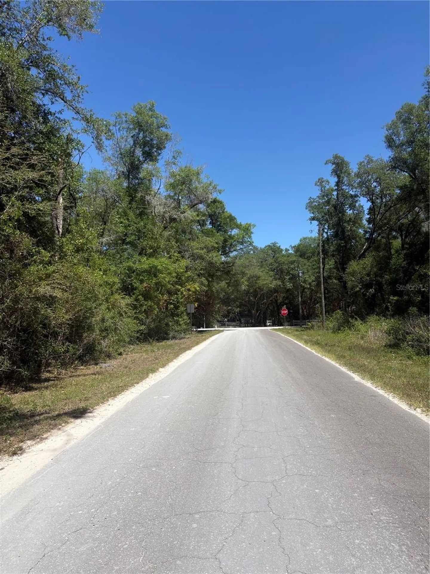 00 NE 7th Place Williston FL 32696