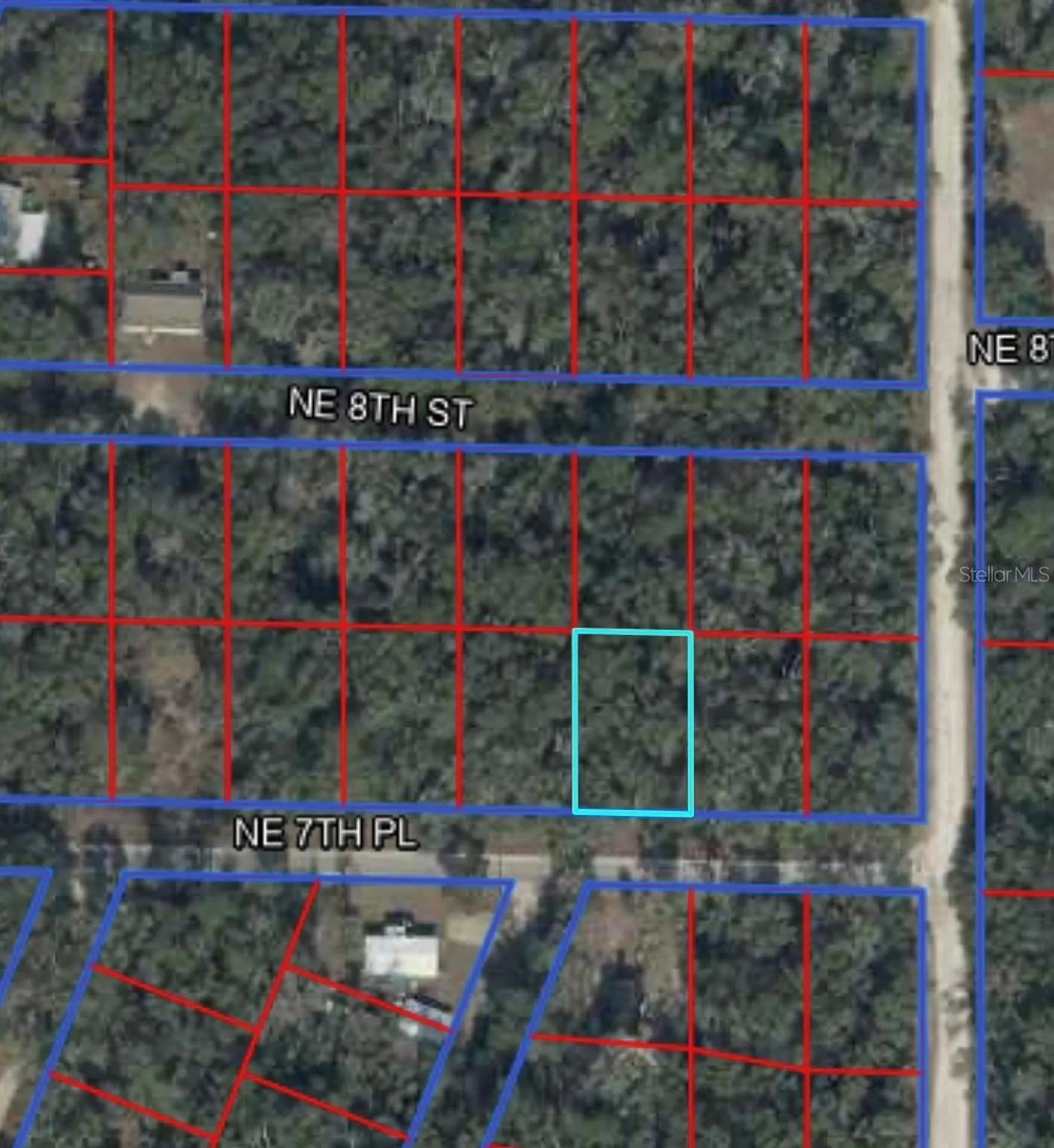 00 NE 7th Place Williston FL 32696