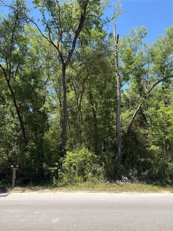 00 NE 7th Place Williston FL 32696