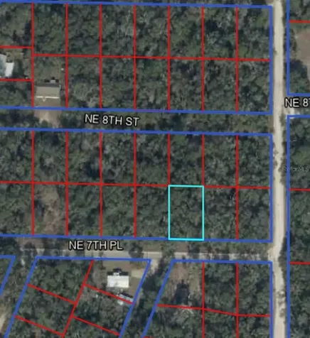 00 NE 7th Place Williston FL 32696
