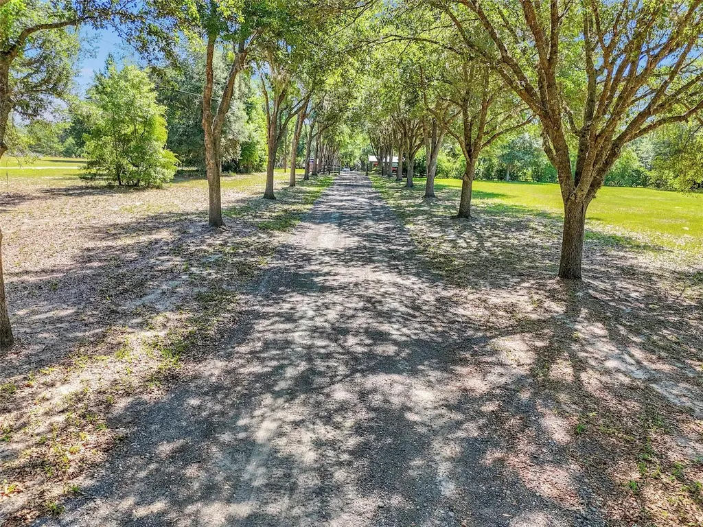 3325 S Hwy 314a Ocklawaha FL 32179