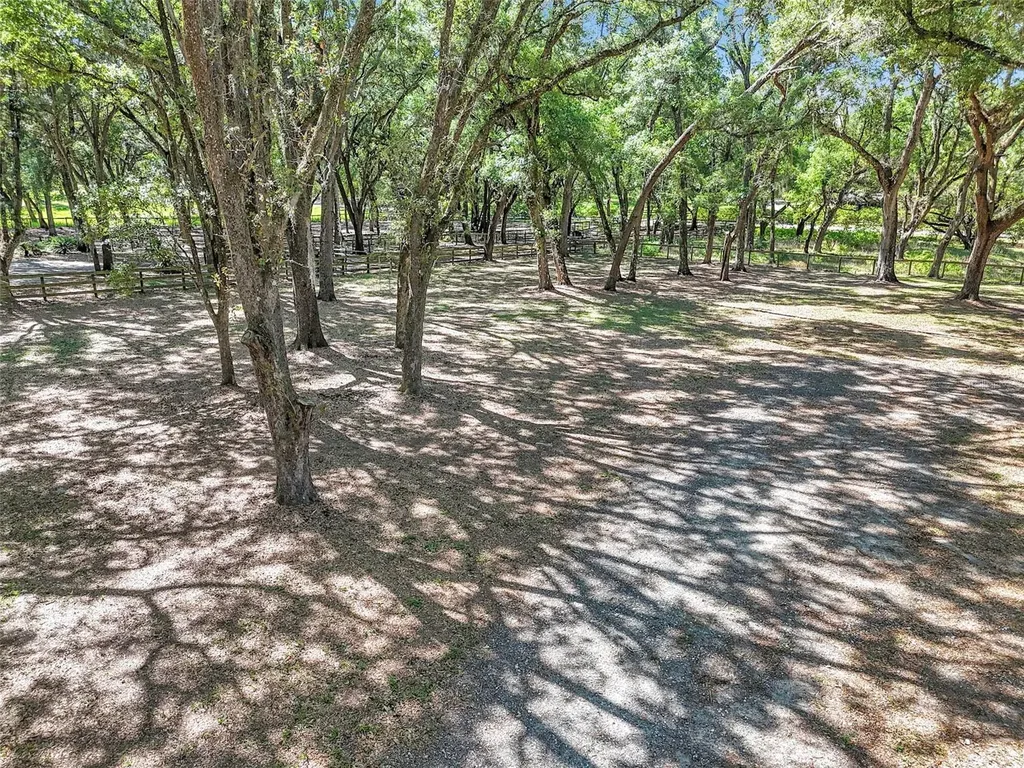3325 S Hwy 314a Ocklawaha FL 32179