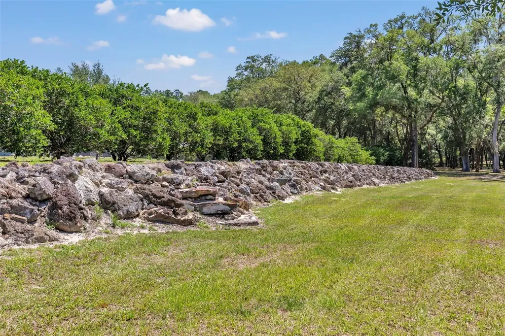 3325 S Hwy 314a Ocklawaha FL 32179
