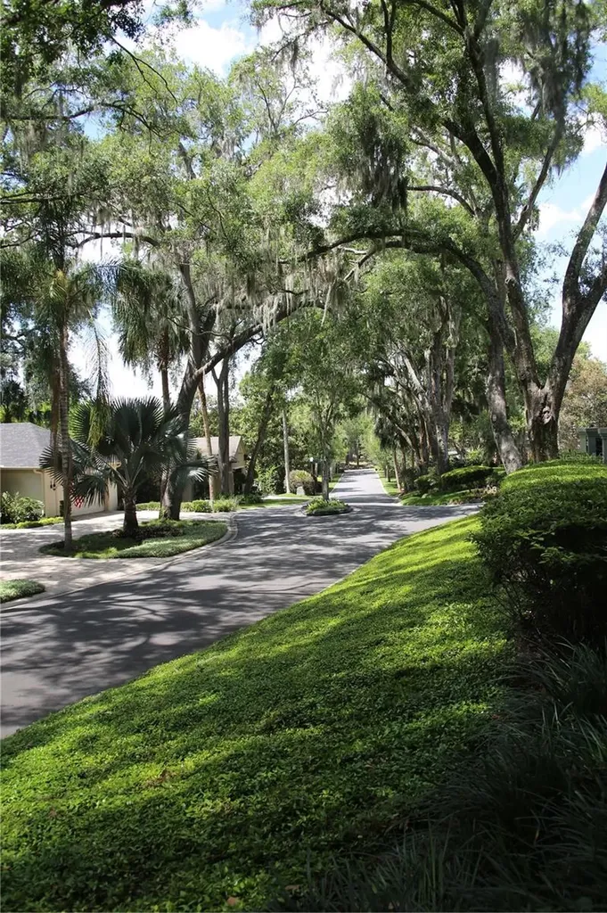 631 Sand Lake Court Mount Dora FL 32757