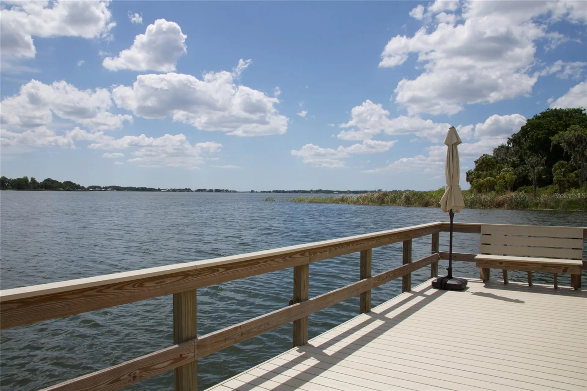 631 Sand Lake Court Mount Dora FL 32757