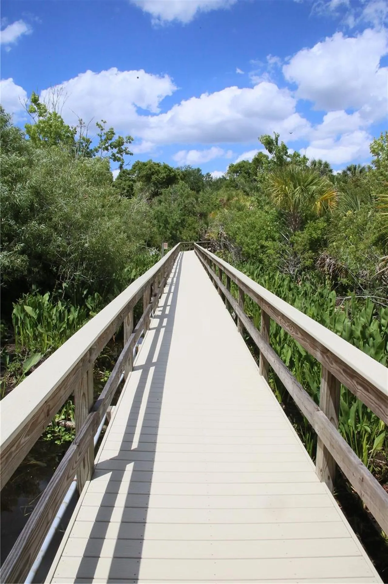 631 Sand Lake Court Mount Dora FL 32757