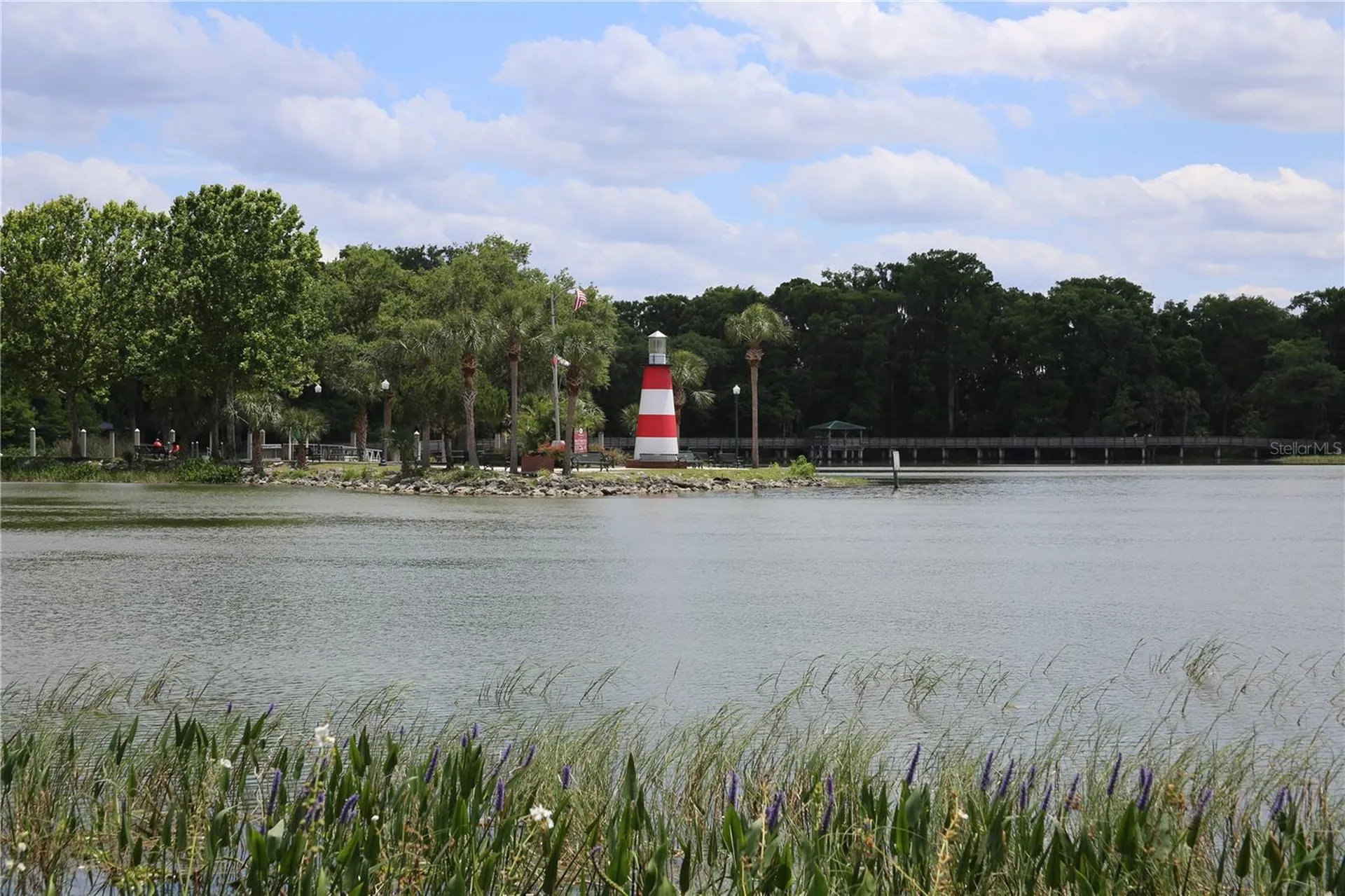 631 Sand Lake Court Mount Dora FL 32757