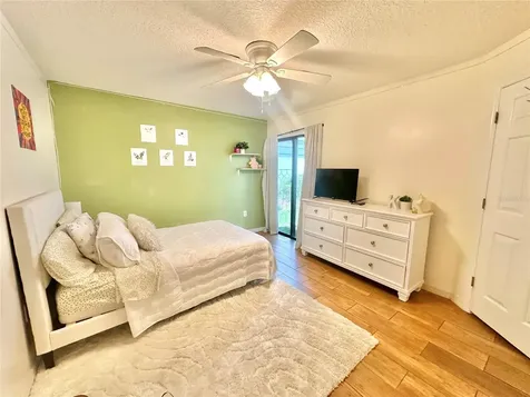 631 Sand Lake Court Mount Dora FL 32757