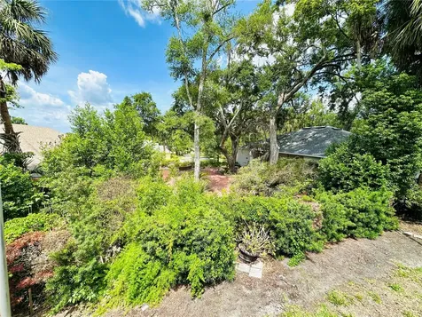631 Sand Lake Court Mount Dora FL 32757