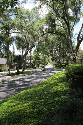 631 Sand Lake Court Mount Dora FL 32757