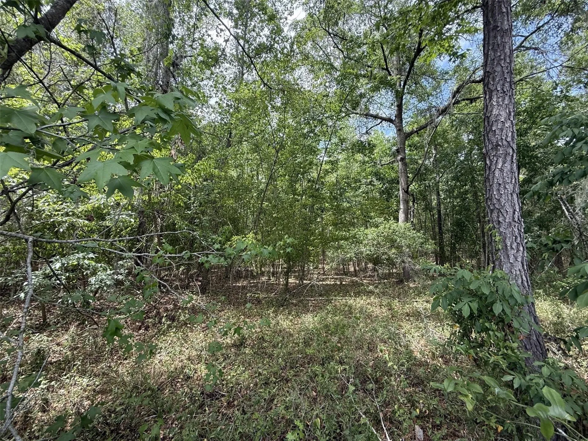 11570 NW 74th Terrace Alachua FL 32615