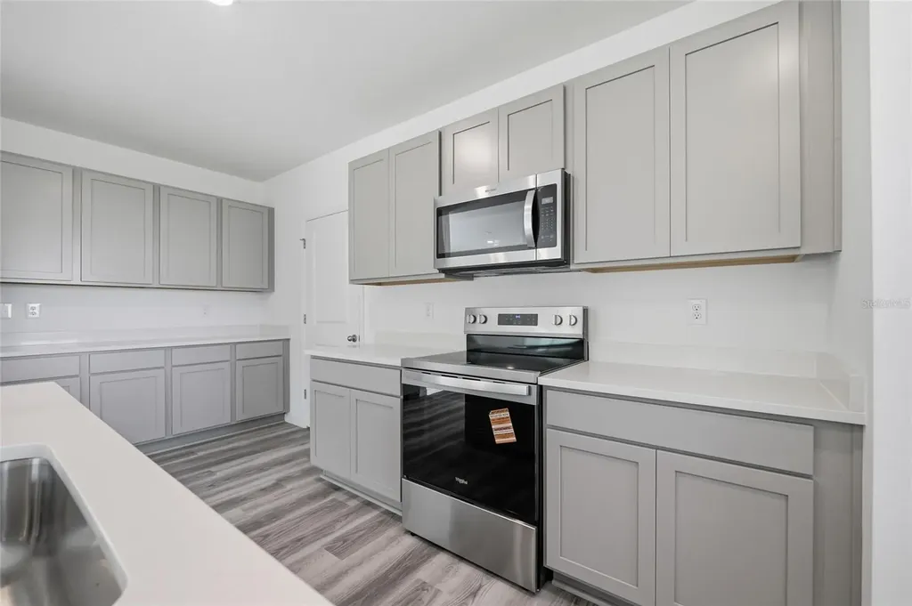 17786 Acorn Drop Road Land O Lakes FL 34638