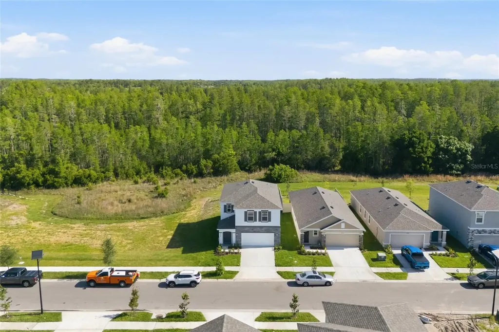17786 Acorn Drop Road Land O Lakes FL 34638
