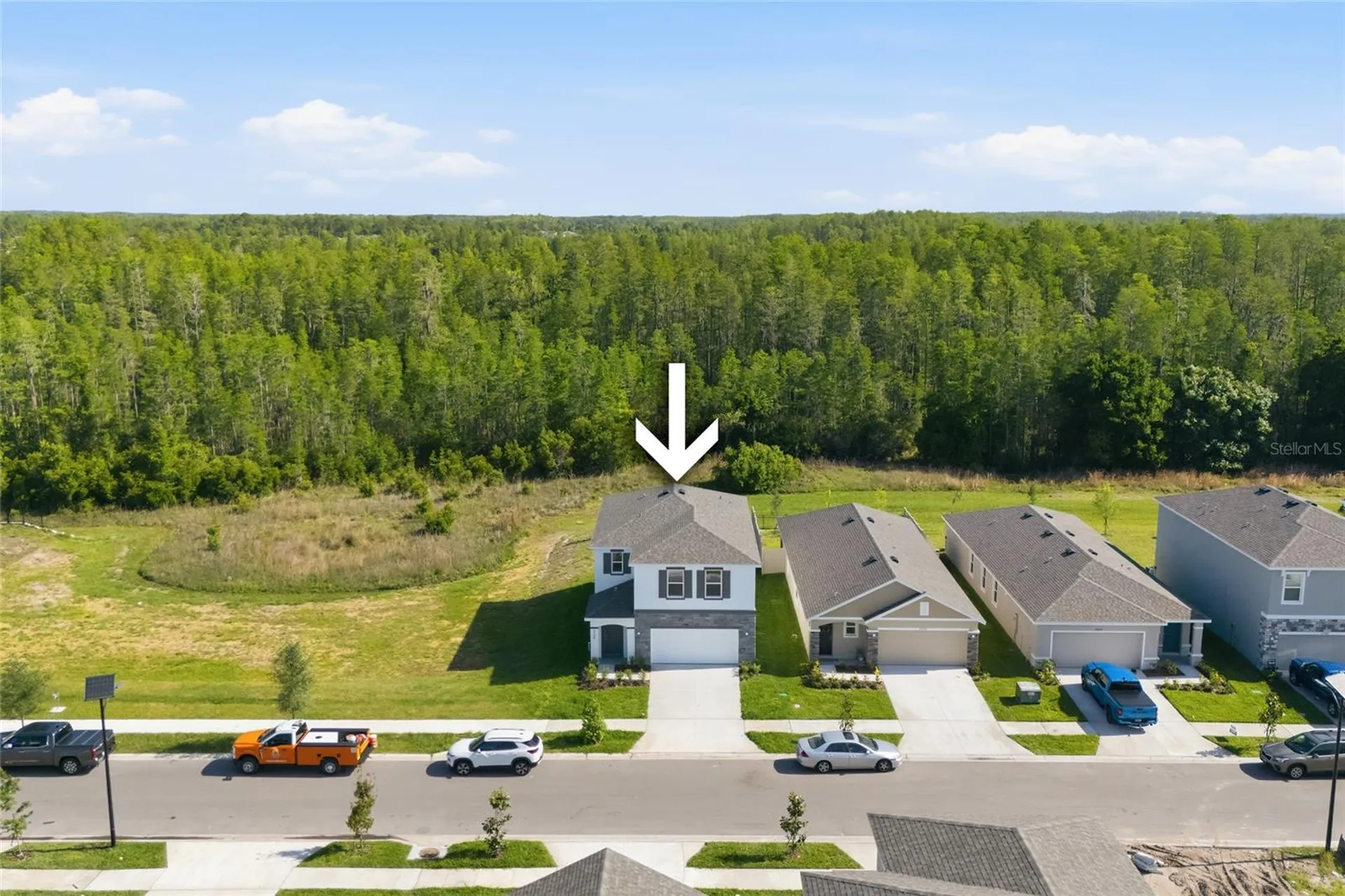 17786 Acorn Drop Road Land O Lakes FL 34638