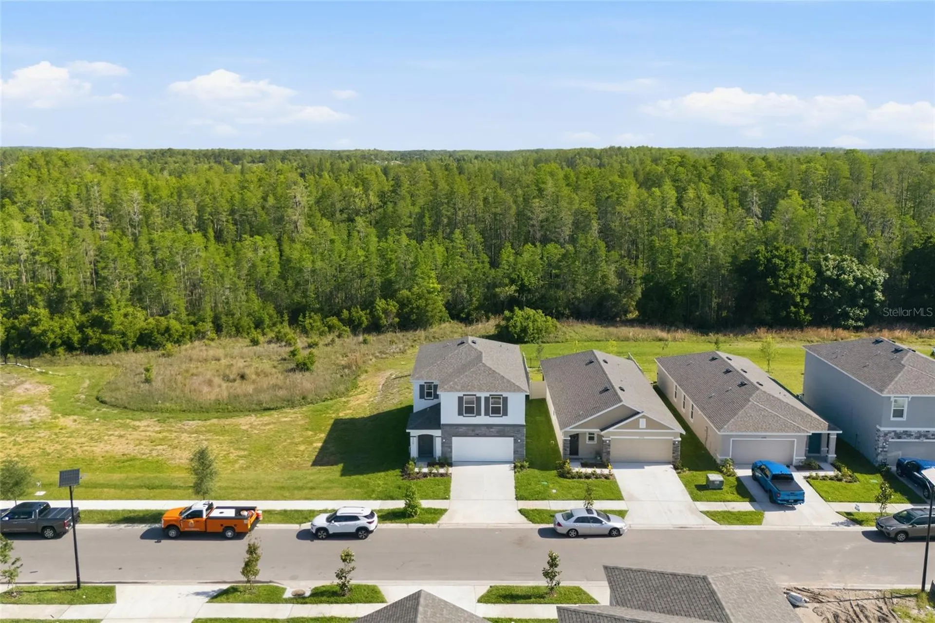 17786 Acorn Drop Road Land O Lakes FL 34638