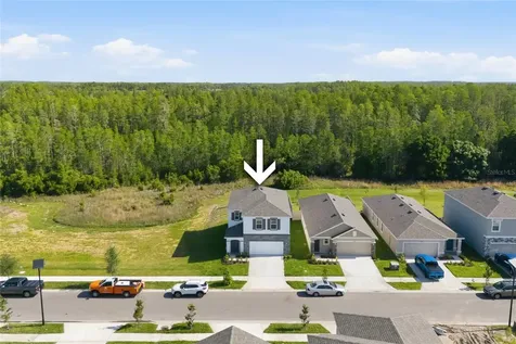 17786 Acorn Drop Road Land O Lakes FL 34638