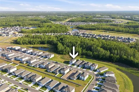 17786 Acorn Drop Road Land O Lakes FL 34638