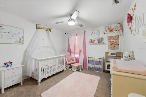 6825 Wilson Hammock Avenue Groveland FL 34736