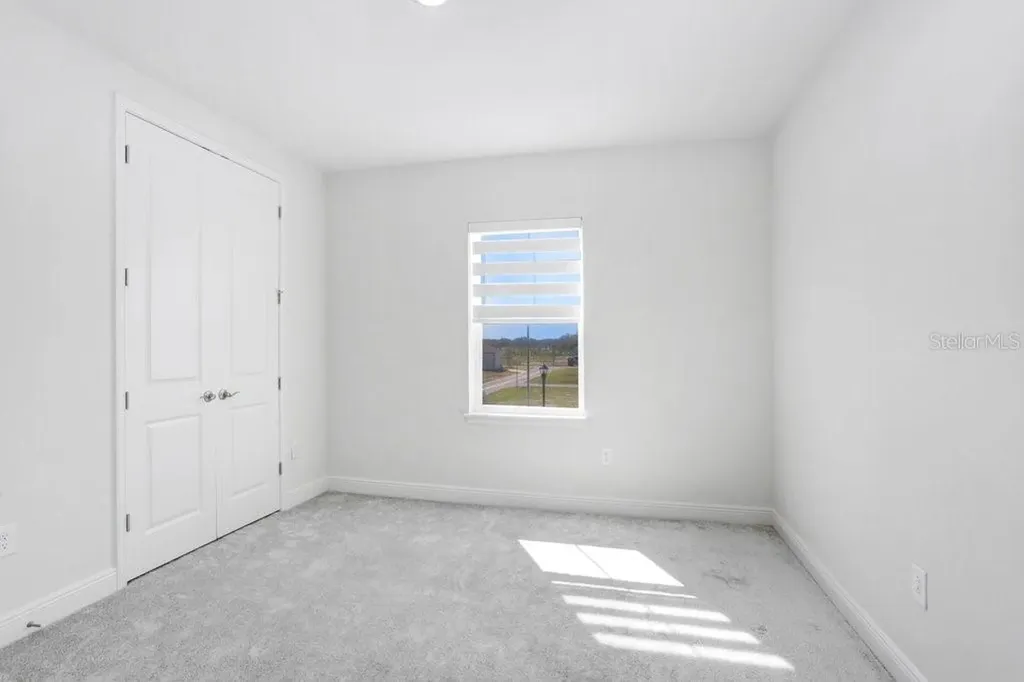 28793 Sweet Persimmon Drive Wesley Chapel FL 33543