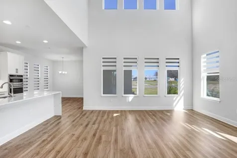 28793 Sweet Persimmon Drive Wesley Chapel FL 33543