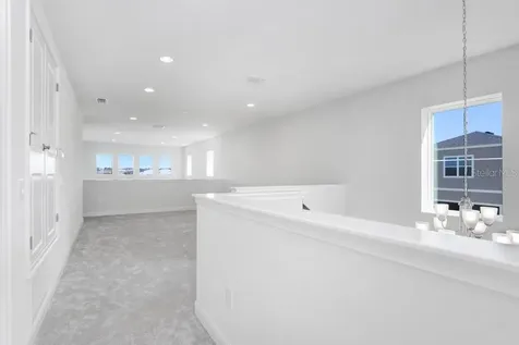28793 Sweet Persimmon Drive Wesley Chapel FL 33543