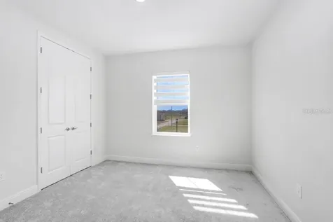 28793 Sweet Persimmon Drive Wesley Chapel FL 33543