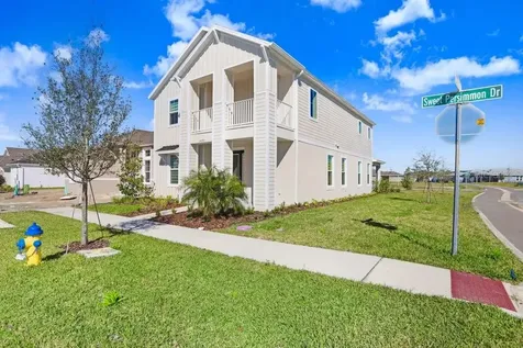 28793 Sweet Persimmon Drive Wesley Chapel FL 33543