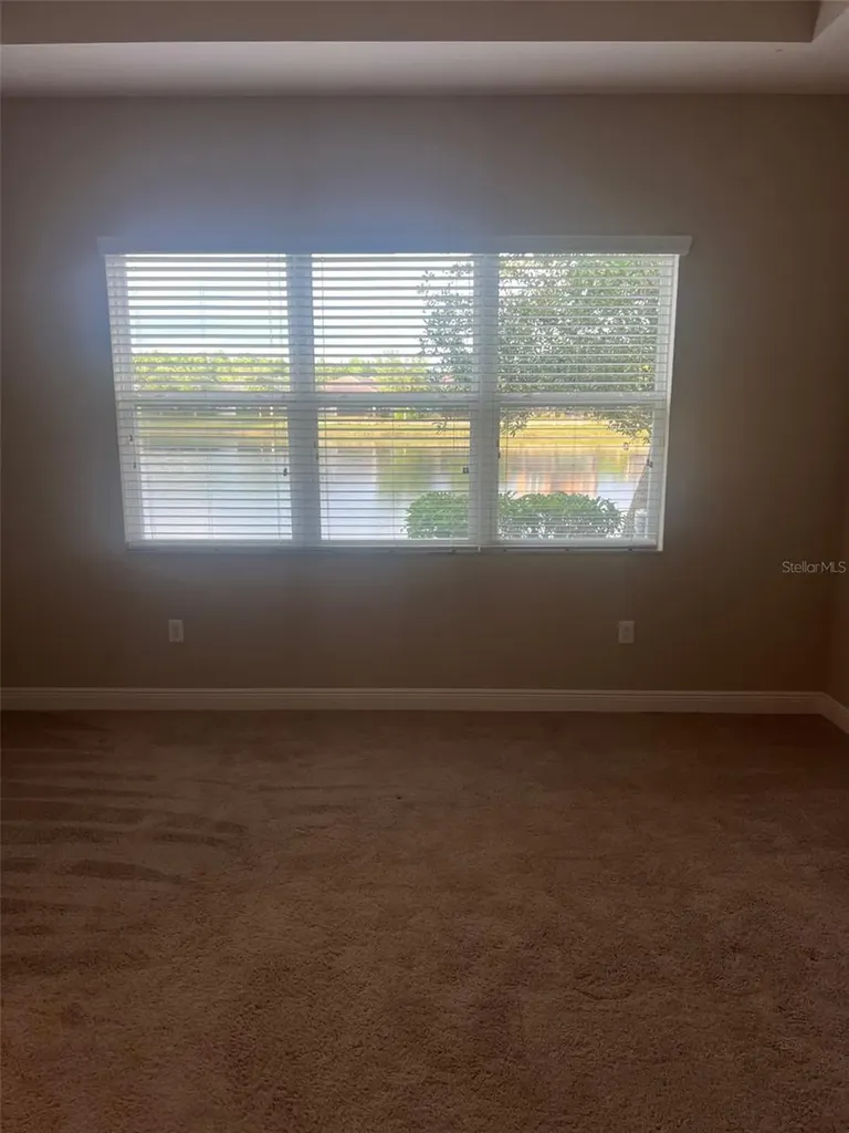 30447 Ceasar Park Drive Wesley Chapel FL 33543