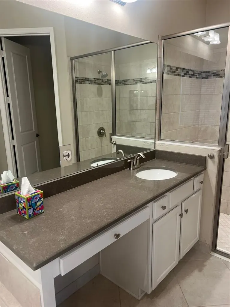 30447 Ceasar Park Drive Wesley Chapel FL 33543