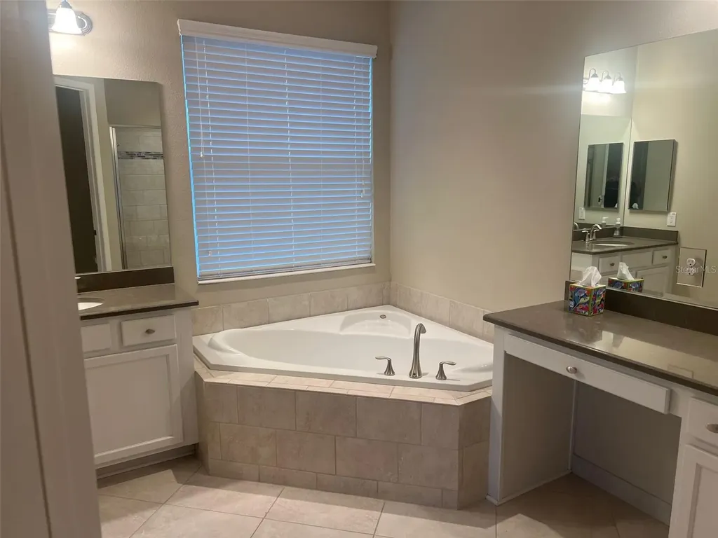 30447 Ceasar Park Drive Wesley Chapel FL 33543